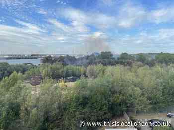 Gallions Reach Park fire: Three hectares grass damaged