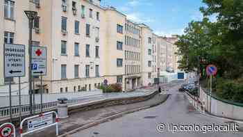 Dalla Toscana al Burlo di Trieste: i roghi non fermano il viaggio del midollo per salvare una bimba - Il Piccolo