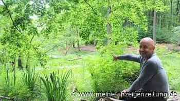 Brandenburger Weltnaturerbe mit Schattenseiten