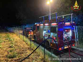 Incendio di sterpaglie a Giussano - Il Cittadino di Monza e Brianza