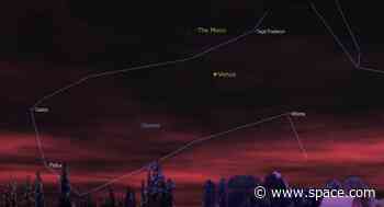 Spot Venus shine under the thin crescent moon on Tuesday