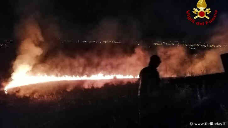 Vasto incendio in collina a cavallo tra Cesena e Bertinoro: ore di lavoro per i Vigili del fuoco - ForlìToday