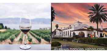 Deléitate en agosto con la Muestra del Vino en Ensenada - Yahoo Noticias