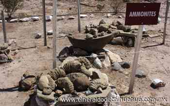 Brinda ayuda Rancho Don Chuy en Aldama, al INAH para proteger y difundir patrimonio prehistórico - El Heraldo de Chihuahua