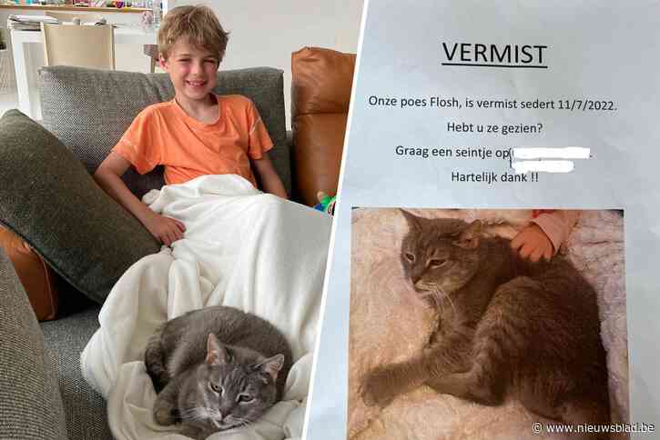 Katje Flosh reist per ongeluk mee van Lokeren naar De Panne: “Pas een week later gevonden op de parking van Plopsaland”