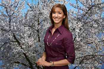 4 Lessons From The Decision-Driven Consumer Insights Revolution At Blue Diamond Growers - Forbes