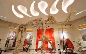 AIFA estrena ruta de promoción turística - El Sol de Cuernavaca