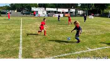 "Der Fußballkreis Alsfeld lebt" - FuPa - FuPa