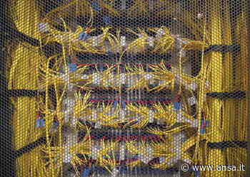 Inva, Marco Mignacco designato presidente del cda - Agenzia ANSA