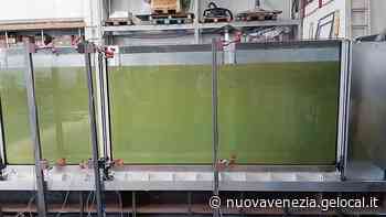 Venezia, barriere contro l'acqua alta a San Marco: ecco come saranno. Superati i primi test - La Nuova Venezia