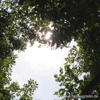 Messungen des DWD in Soest - Hellweg Radio