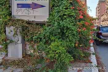 Crotone, marciapiedi inutilizzabili in centro città ~ CrotoneOk.it - CrotoneOK.it