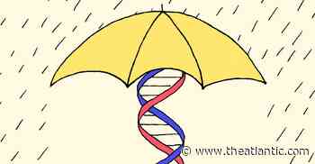 Could Genetics Be the Key to Never Getting the Coronavirus? - The Atlantic