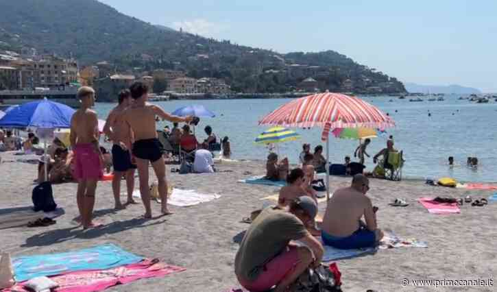 Boom di presenze per la nuova spiaggia di Rapallo, Bagnasco: "Quello che mancava" - Primocanale.it - Le not... - Primocanale