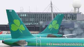 Further Aer Lingus flight cancellations at Dublin Airport - Independent.ie