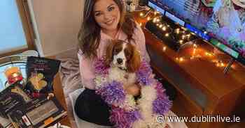 Inside RTE Doireann Garrihy’s girly North Dublin apartment - Dublin Live