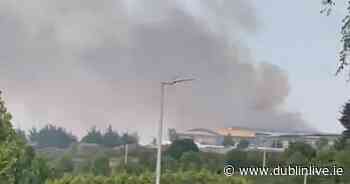 Dublin firefighters repeat warning of wildfire threat - Dublin Live