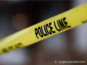 Police transport victim to hospital after early-morning stabbing - Calgary Herald