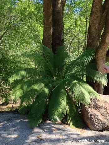 Container Know How - Press Banner