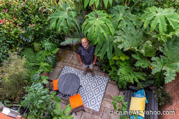 UK's most eccentric gardener crowned at B&Q Gardener of the Year Awards - Yahoo News Canada