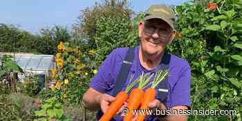 UK's famous giant-vegetable gardener suffers heat-wave illness - Business Insider