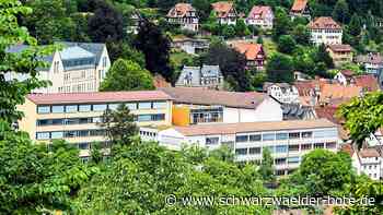 Schulsanierungen in Calw - Geplante Arbeiten am Haffnerbau kosten Millionen - Schwarzwälder Bote