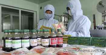 North Korea pushes traditional medicine to fight COVID-19, prompting doctors' concerns - 9News