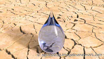 Siccità, l'Ispra fa il punto - Economia e politica - AgroNotizie - Agronotizie