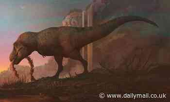 Study refutes claim that T.rex was three separate species