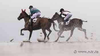 Cuxhaven: Duhner Wattrennen mit elf Starts vor 35.000 Gästen - NDR.de