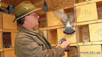 Taubenhaus Nr. 3 für die Jenaer Innenstadt