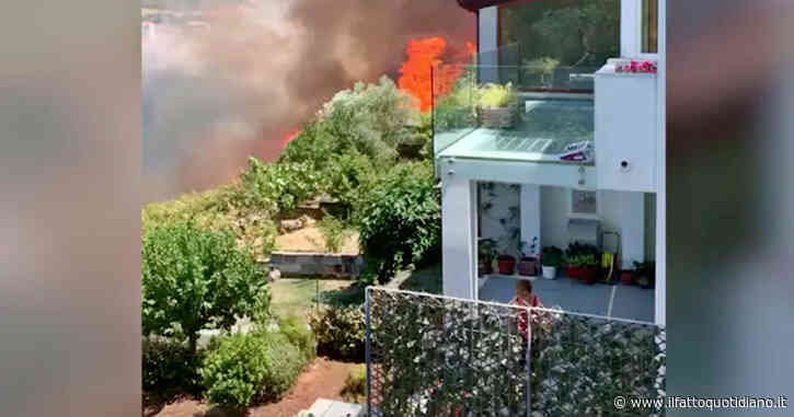 Sassari, incendio raggiunge le case di Bonorva: 40 famiglie evacuate – Video