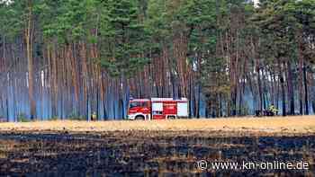 Elbe-Elster-Kreis: Zwischen Windkraftanlagen ist ein Waldbrand ausgebrochen