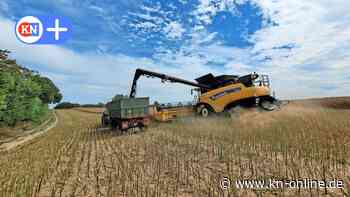 Autofahrer aufgepasst: Erntestart für die „Goldfrucht des Nordens“