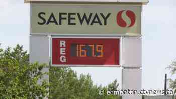 Edmonton gas prices react to Kenney price fixing probe push - CTV News Edmonton