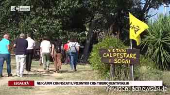 Nei campi confiscati l'incontro con Tiberio Bentivoglio · Video LaC News24 - LaC News24
