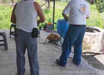 En Tierra Blanca, rescatan a perrito que cayó a un pozo con agua - Imagen de Veracruz