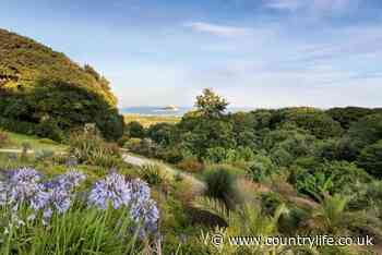 The exotic brilliance of Tremenheere Sculpture Gardens, a Cornwall gem with 'one of the best views in England' - Country Life