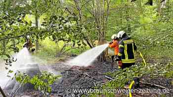 Brand im Wolfsburger Stadtwald – Radfahrer alarmiert Feuerwehr
