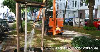 Trockenstress: Für viele Aachener Bäume ist jetzt schon Herbst