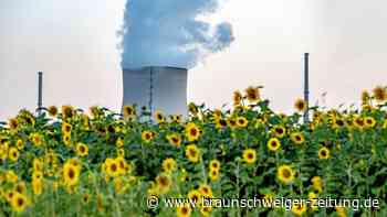 Energiekrise: Doch noch grünes Licht für die Atomkraft?