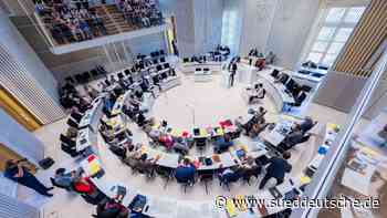 Konjunktur - Schwerin - FDP will Rezession durch Steuerentlastungen abwenden - Wirtschaft - SZ.de - Süddeutsche Zeitung - SZ.de