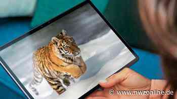 Freiwilligenagentur Jever bietet ehrenamtlich „Digitale Unterstützung“ - Nordwest-Zeitung