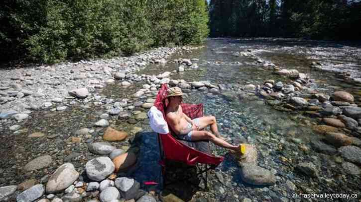 Heat warnings for much of B.C. with temperatures up to 40 C through to Saturday