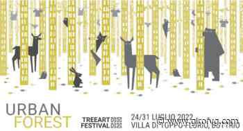 3ª edizione del “Treeart Festival”, Buttrio - Giro FVG