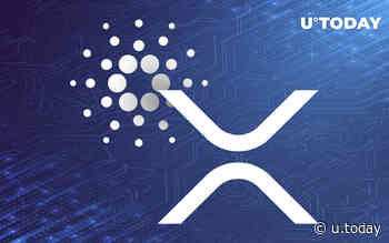 Cardano (ADA) Spikes 8%, Surpassing XRP - U.Today