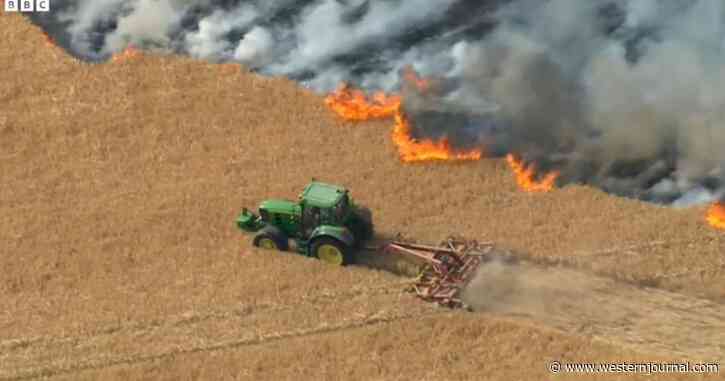 Desperate Farmer Tears Through Field, Plows a Line Just Yards Away from Wildfire