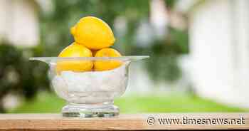 Will the next Elon Musk please step forward? - Kingsport Times News