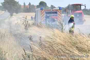 Feldbrände halten Feuerwehren auf Trab - freiepresse.de