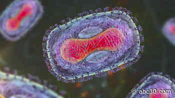 Monkeypox: Everything you need to know about origin, symptoms, spread and vaccines